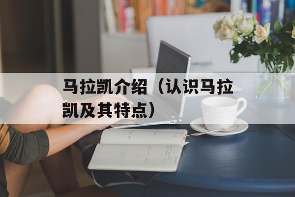 马拉凯介绍（认识马拉凯及其特点）-第1张图片-