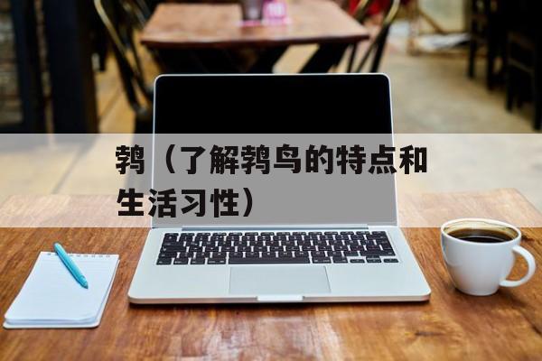 鹁（了解鹁鸟的特点和生活习性）-第1张图片-
