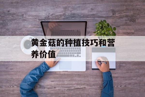 黄金菇的种植技巧和营养价值-第1张图片-