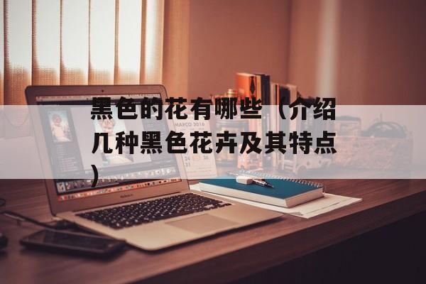 黑色的花有哪些（介绍几种黑色花卉及其特点）-第1张图片-