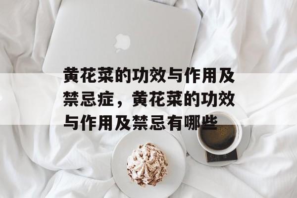 黄花菜的功效与作用及禁忌症，黄花菜的功效与作用及禁忌有哪些-第1张图片-