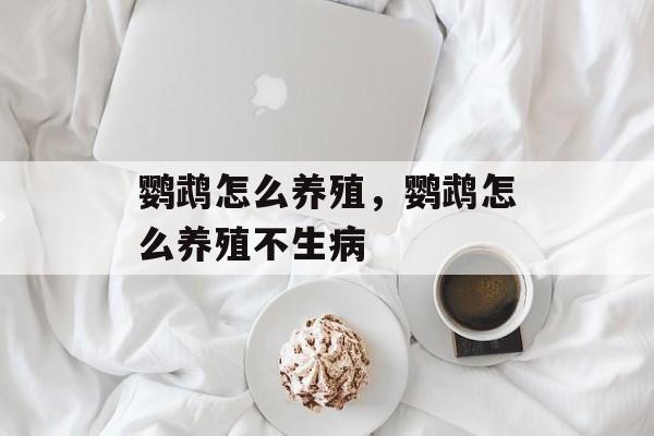 鹦鹉怎么养殖，鹦鹉怎么养殖不生病-第1张图片-