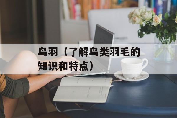 鸟羽（了解鸟类羽毛的知识和特点）-第1张图片-