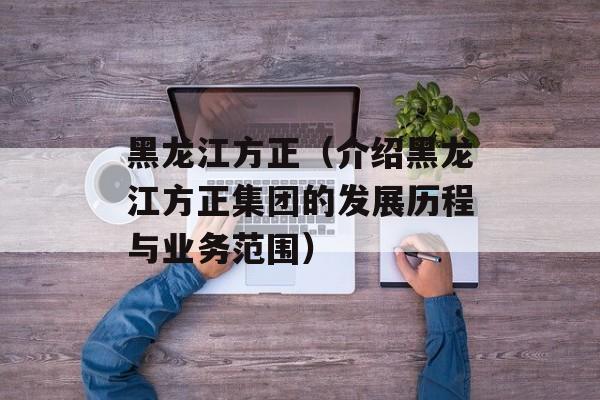 黑龙江方正（介绍黑龙江方正集团的发展历程与业务范围）-第1张图片-