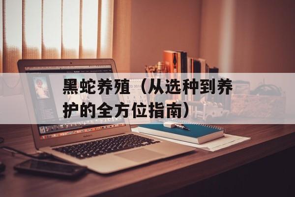 黑蛇养殖（从选种到养护的全方位指南）-第1张图片-