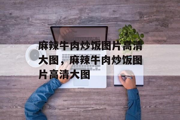 麻辣牛肉炒饭图片高清大图，麻辣牛肉炒饭图片高清大图-第1张图片-