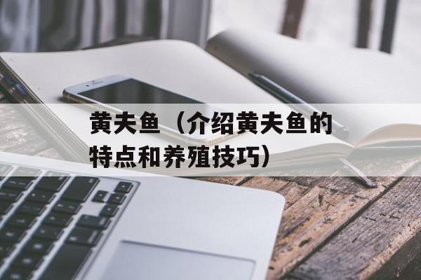 黄夫鱼（介绍黄夫鱼的特点和养殖技巧）-第1张图片-