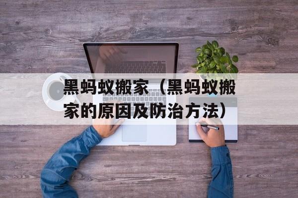 黑蚂蚁搬家（黑蚂蚁搬家的原因及防治方法）-第1张图片-