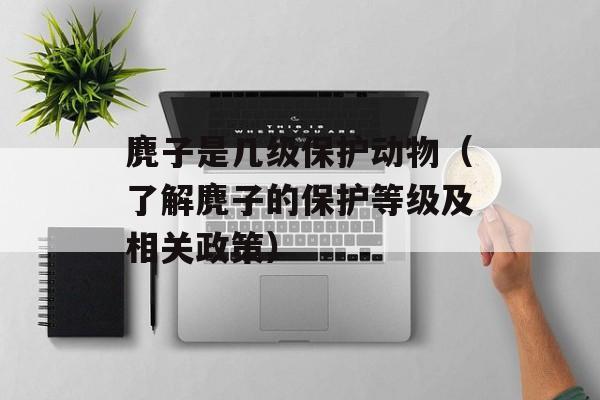 麂子是几级保护动物（了解麂子的保护等级及相关政策）-第1张图片-