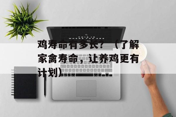 鸡寿命有多长？（了解家禽寿命，让养鸡更有计划）-第1张图片-
