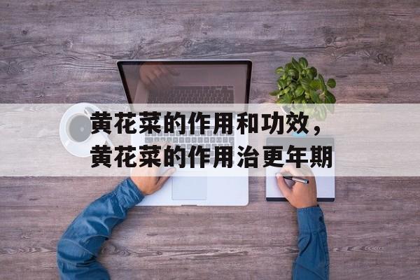 黄花菜的作用和功效，黄花菜的作用治更年期-第1张图片-