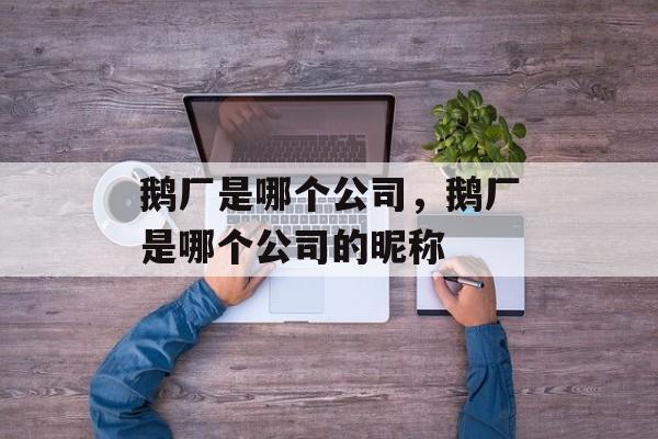 鹅厂是哪个公司，鹅厂是哪个公司的昵称-第1张图片-