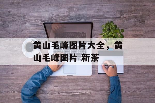 黄山毛峰图片大全，黄山毛峰图片 新茶-第1张图片-