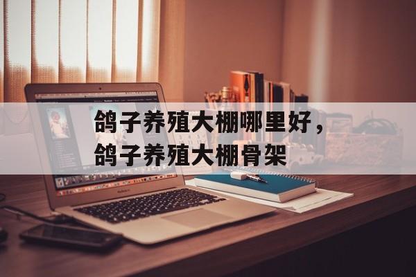 鸽子养殖大棚哪里好，鸽子养殖大棚骨架-第1张图片-