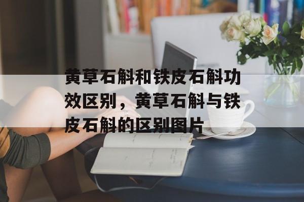黄草石斛和铁皮石斛功效区别，黄草石斛与铁皮石斛的区别图片-第1张图片-