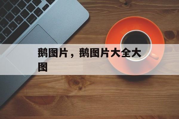 鹅图片，鹅图片大全大图-第1张图片-
