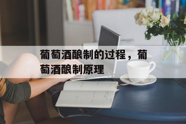 葡萄酒酿制的过程，葡萄酒酿制原理-第1张图片-