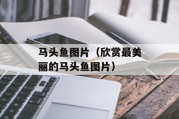 马头鱼图片（欣赏最美丽的马头鱼图片）-第1张图片-