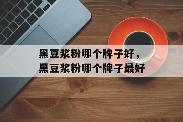 黑豆浆粉哪个牌子好，黑豆浆粉哪个牌子最好-第1张图片-