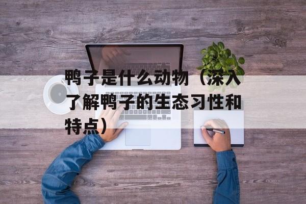 鸭子是什么动物（深入了解鸭子的生态习性和特点）-第1张图片-