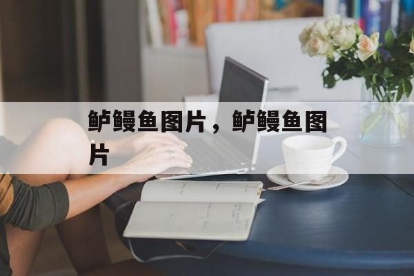 鲈鳗鱼图片，鲈鳗鱼图片-第1张图片-