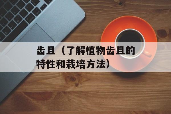 齿且（了解植物齿且的特性和栽培方法）-第1张图片-