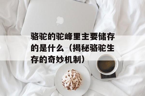 骆驼的驼峰里主要储存的是什么（揭秘骆驼生存的奇妙机制）-第1张图片-