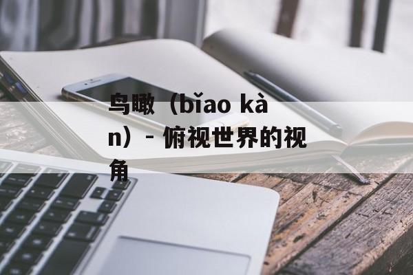 鸟瞰（bǐao kàn）- 俯视世界的视角-第1张图片-