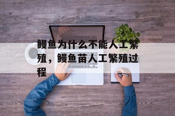 鳗鱼为什么不能人工繁殖，鳗鱼苗人工繁殖过程-第1张图片-