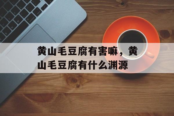 黄山毛豆腐有害嘛，黄山毛豆腐有什么渊源-第1张图片-