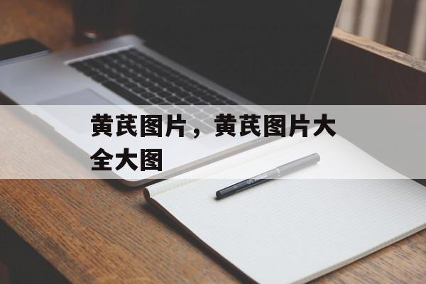 黄芪图片，黄芪图片大全大图-第1张图片-