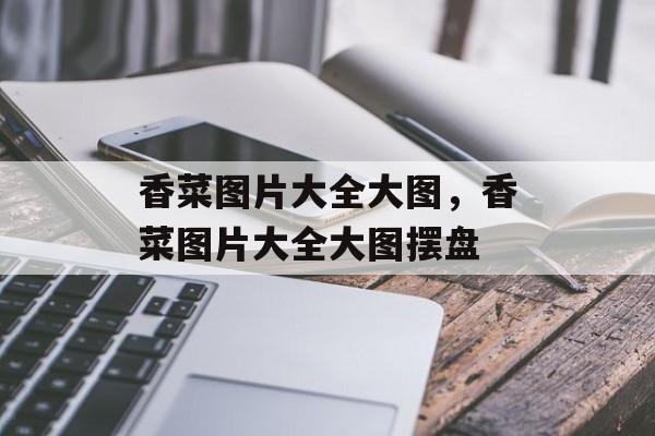 香菜图片大全大图，香菜图片大全大图摆盘-第1张图片-
