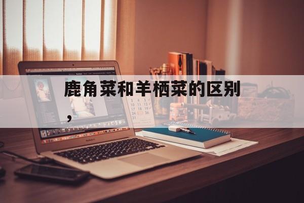 鹿角菜和羊栖菜的区别，-第1张图片-