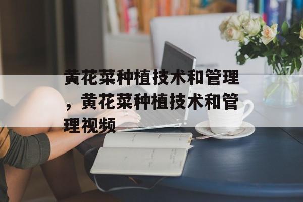 黄花菜种植技术和管理，黄花菜种植技术和管理视频-第1张图片-