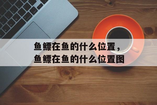 鱼鳔在鱼的什么位置，鱼鳔在鱼的什么位置图-第1张图片-