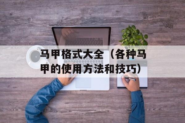 马甲格式大全（各种马甲的使用方法和技巧）-第1张图片-