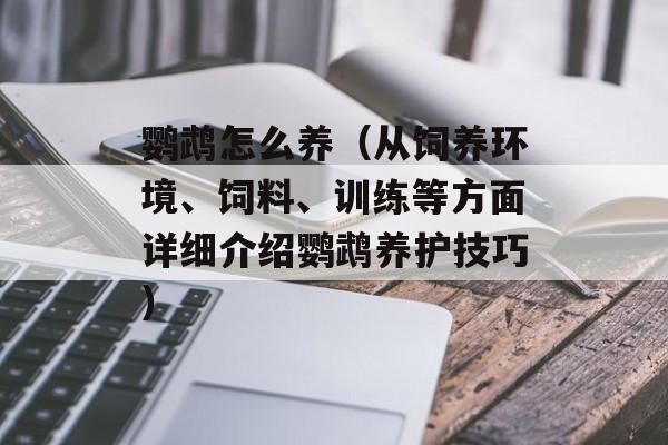 鹦鹉怎么养（从饲养环境、饲料、训练等方面详细介绍鹦鹉养护技巧）-第1张图片-