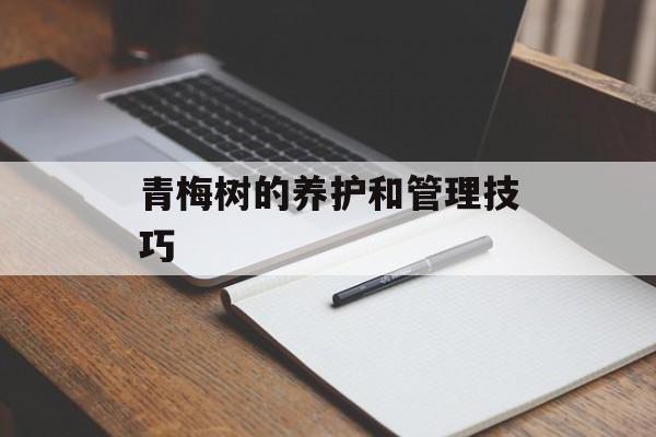 青梅树的养护和管理技巧-第1张图片-