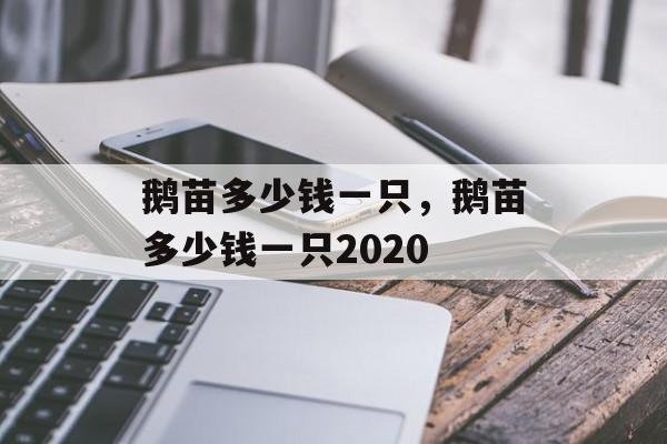 鹅苗多少钱一只，鹅苗多少钱一只2020-第1张图片-