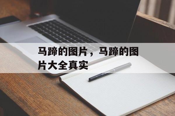 马蹄的图片，马蹄的图片大全真实-第1张图片-