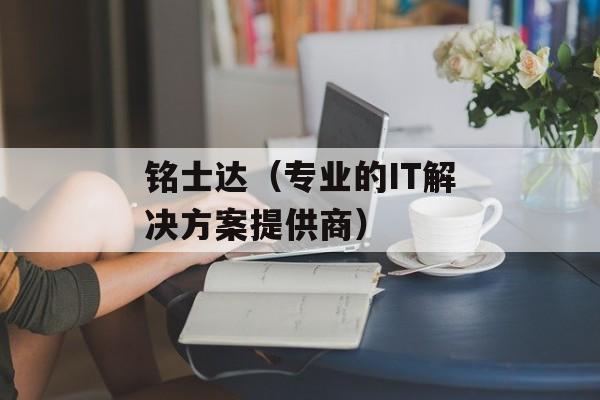 铭士达（专业的IT解决方案提供商）-第1张图片-