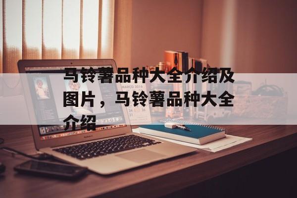 马铃薯品种大全介绍及图片，马铃薯品种大全介绍-第1张图片-