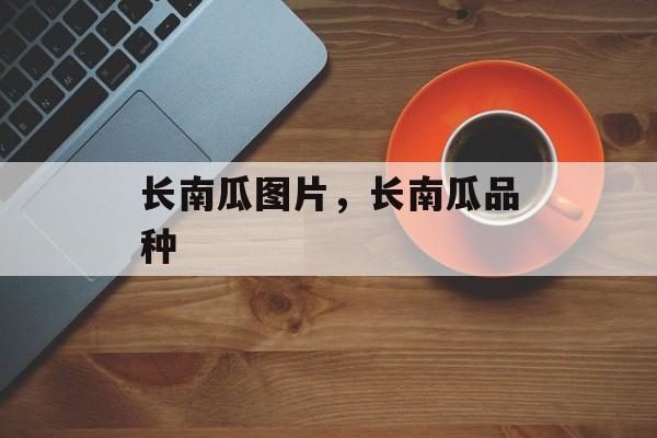 长南瓜图片，长南瓜品种-第1张图片-