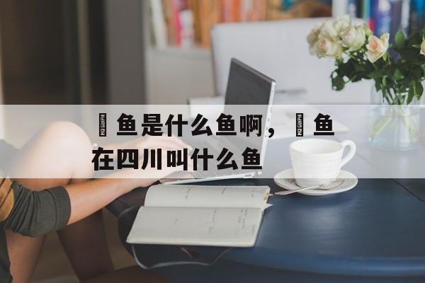 鳡鱼是什么鱼啊，鳡鱼在四川叫什么鱼-第1张图片-
