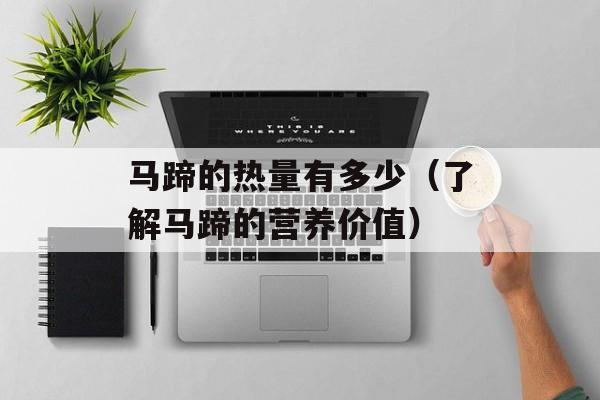 马蹄的热量有多少（了解马蹄的营养价值）-第1张图片-