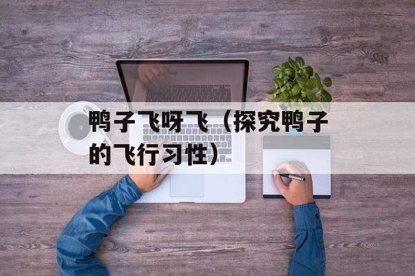 鸭子飞呀飞（探究鸭子的飞行习性）-第1张图片-