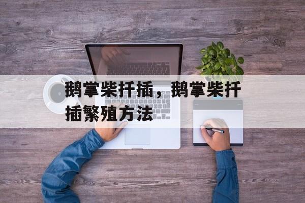 鹅掌柴扦插，鹅掌柴扦插繁殖方法-第1张图片-
