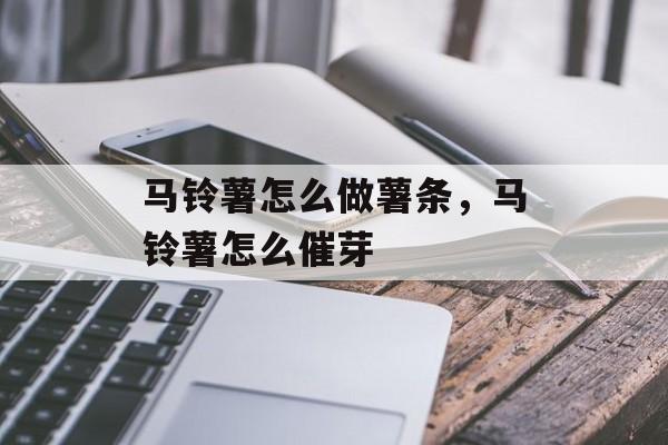 马铃薯怎么做薯条，马铃薯怎么催芽-第1张图片-