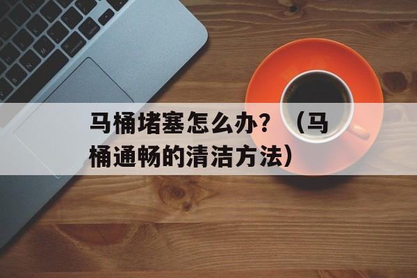 马桶堵塞怎么办？（马桶通畅的清洁方法）-第1张图片-