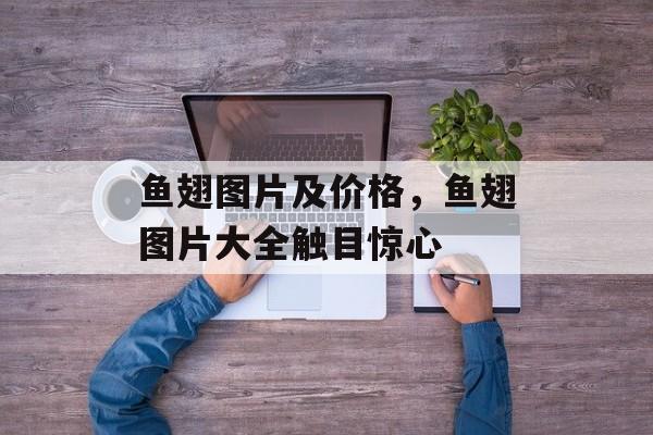 鱼翅图片及价格，鱼翅图片大全触目惊心-第1张图片-